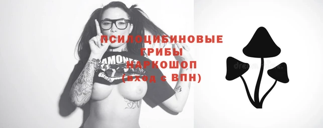 МДПВ Нея