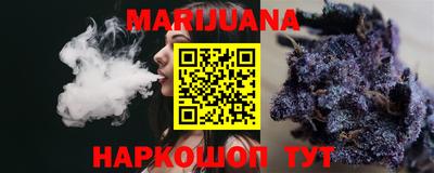 apvp Бийск