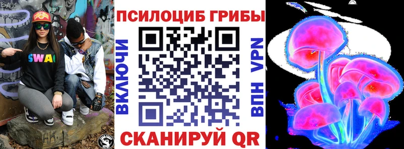 Галлюциногенные грибы Psilocybe  Конаково 