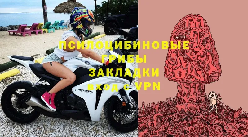 сайты даркнета клад  блэк спрут ссылки  Конаково  хочу   Псилоцибиновые грибы Cubensis 