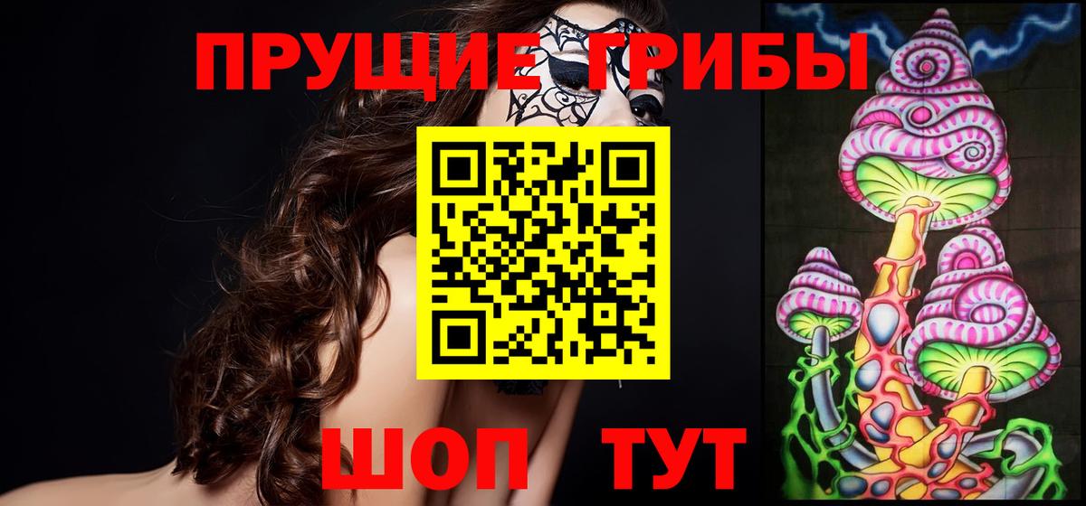 Галлюциногенные грибы Cubensis Конаково